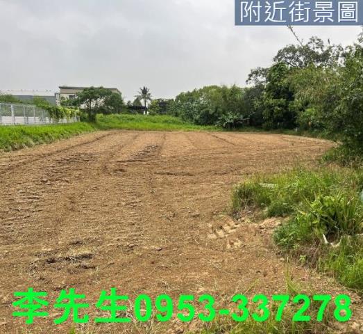 台南仁德農地-9