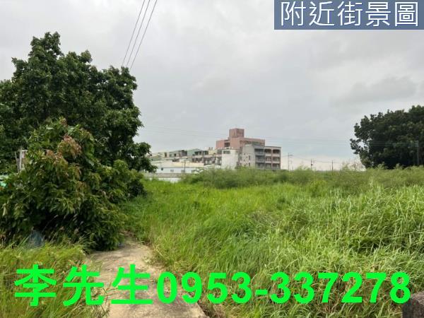 台南仁德農地-1