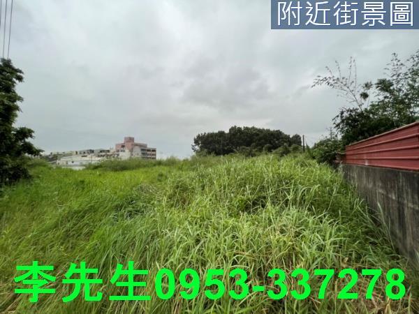 台南仁德農地-5