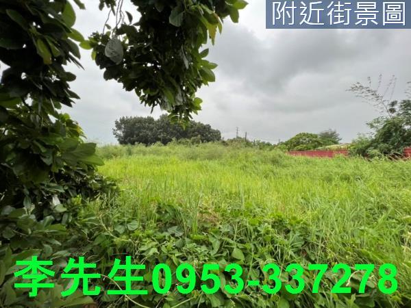 台南仁德農地-6