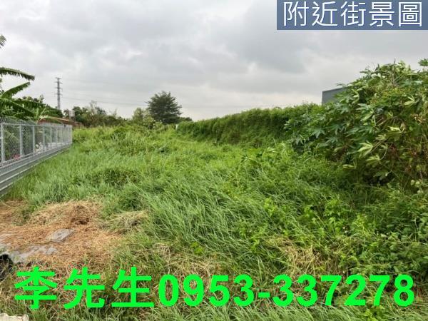 台南仁德農地-8
