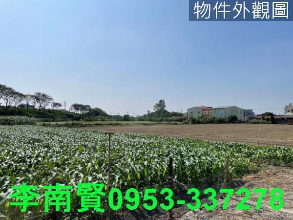 新營農地-4