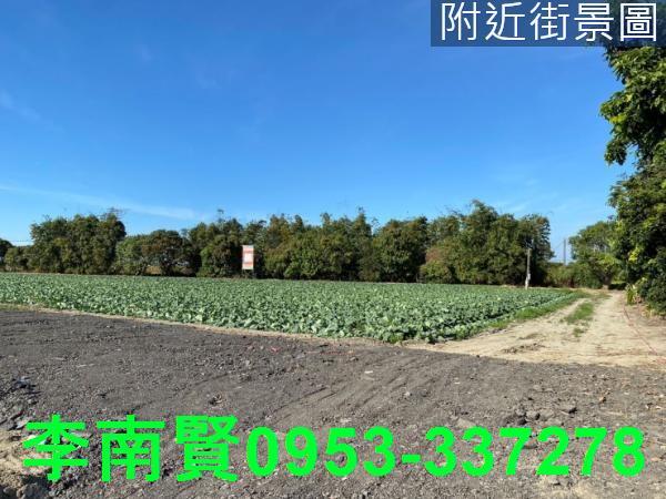 台南仁德農地-6