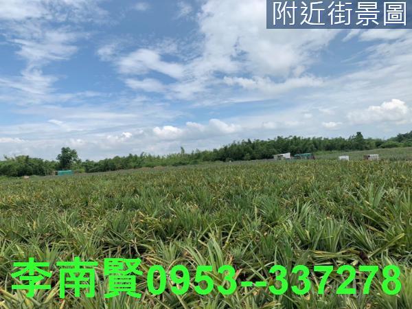 台南農地-3