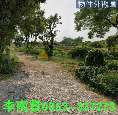 台南新市農地-2