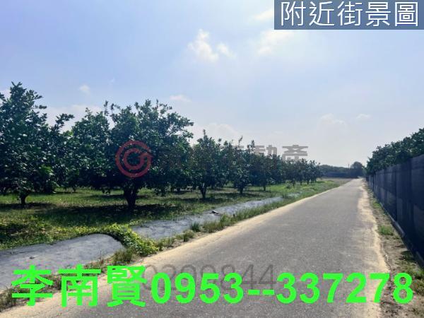台南農地-9
