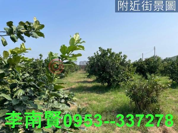 台南佳里農地-0