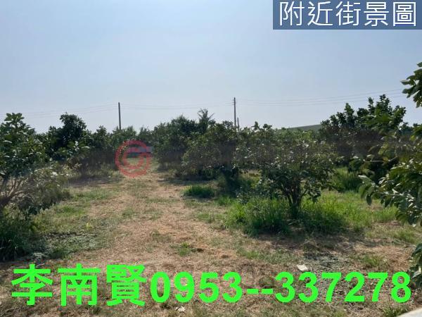 台南佳里農地-1