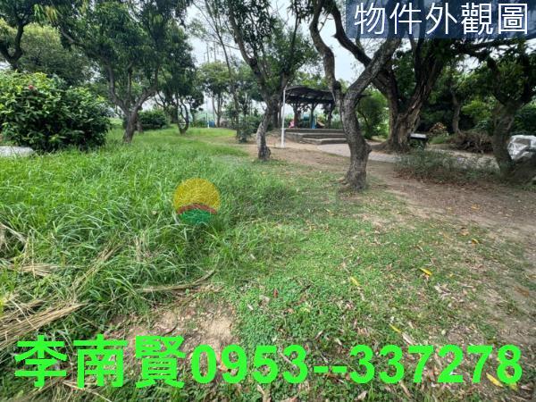 台南新市農地-7