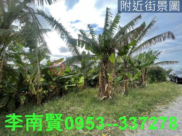 台南農地-6