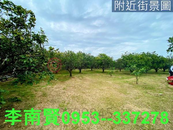 台南麻豆農地-9