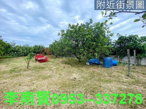 台南麻豆農地-0