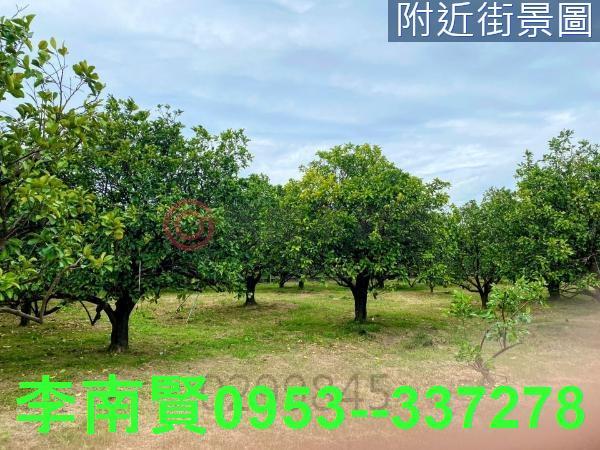 台南麻豆農地-7