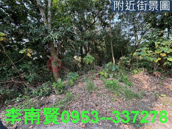 台南大內農地-11