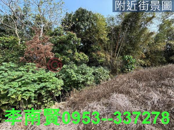 台南大內農地-12