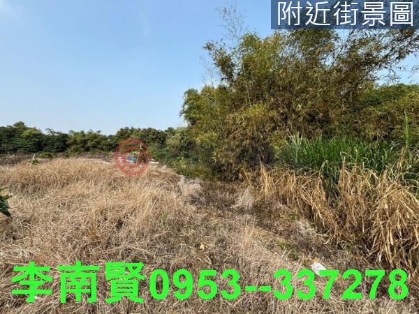 台南大內農地-1