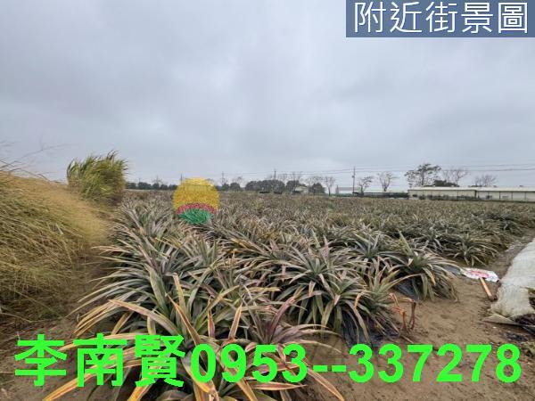台南新市農地-0