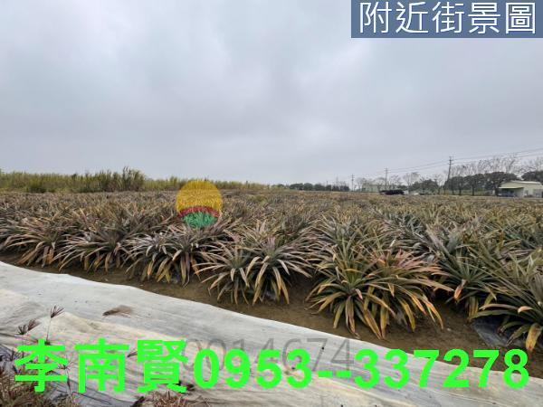 台南新市農地-6