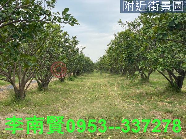 麻豆農地-9
