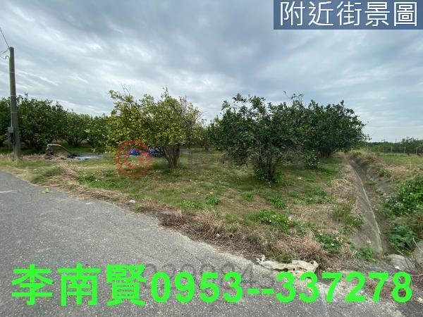 麻豆農地-0