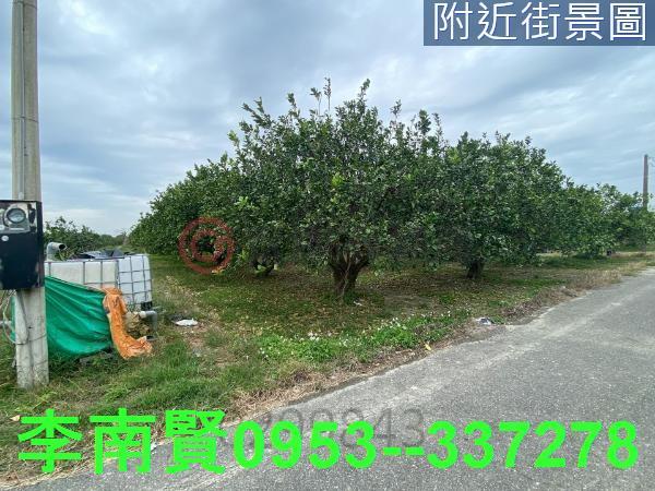 麻豆農地-5