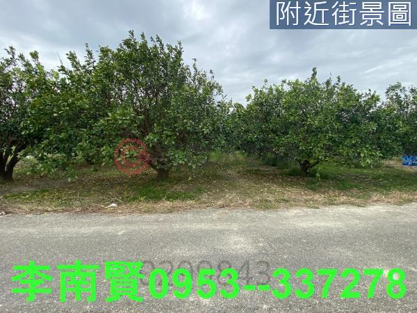 麻豆農地-6