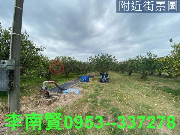 麻豆農地-7