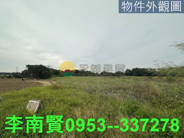 新化農地-10