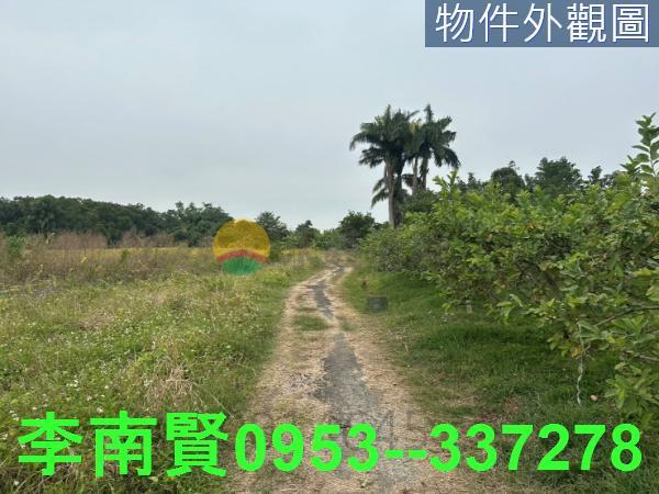 新化農地-4