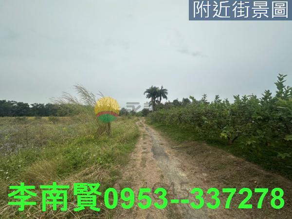 新化農地-5