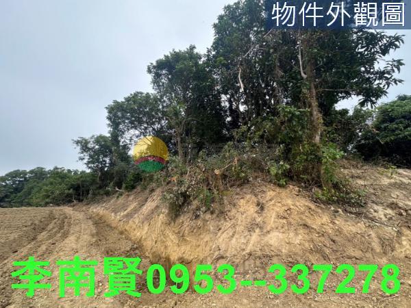 新化農地-8