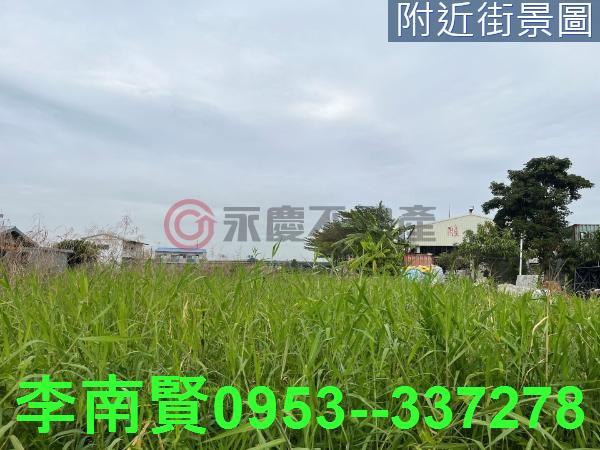 仁德農地-7