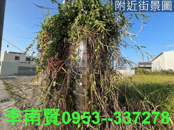 台南農地-5