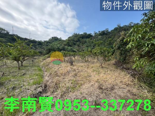 台南玉井山坡地-1