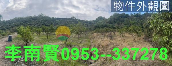 台南玉井山坡地-2