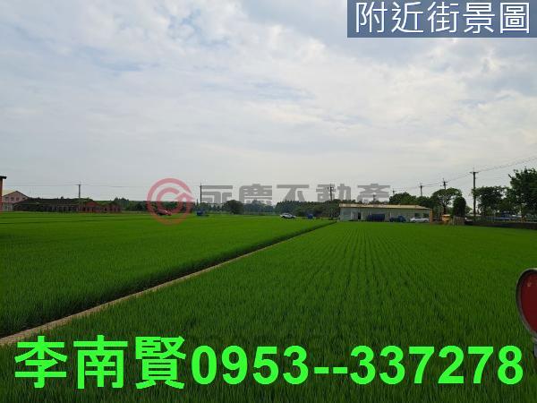 六甲農地-10