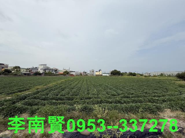 新化農地-6
