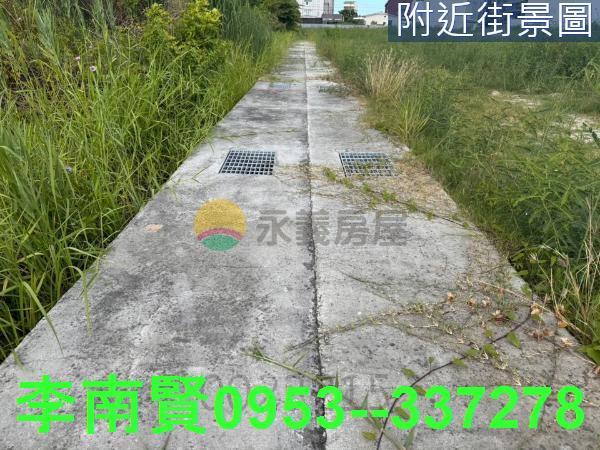安南農地-1