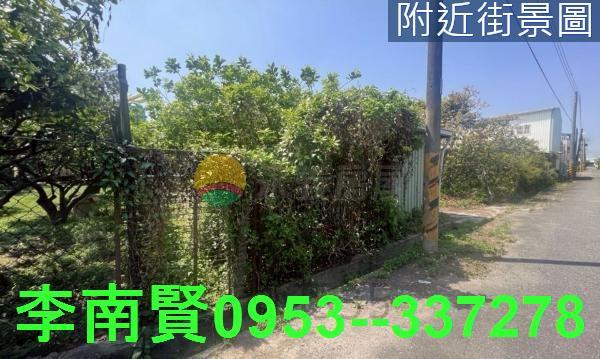 麻豆農建地-2