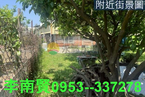 麻豆農建地-3