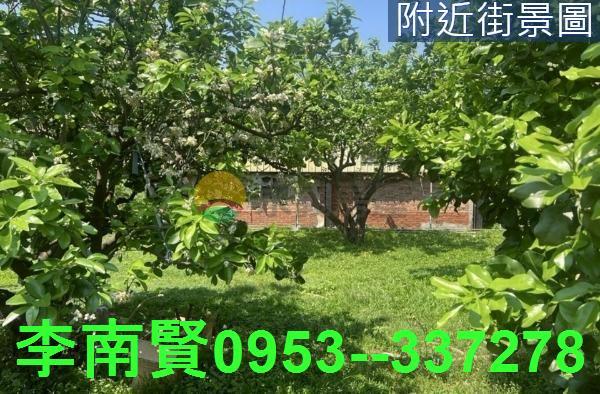 麻豆農建地-4