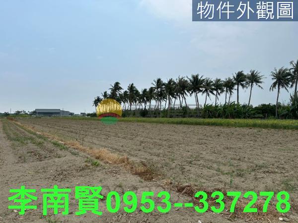 安定農地-4
