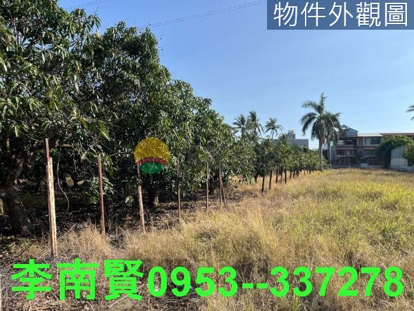 仁德農地-0