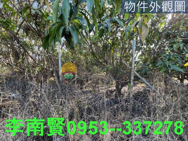 仁德農地-1
