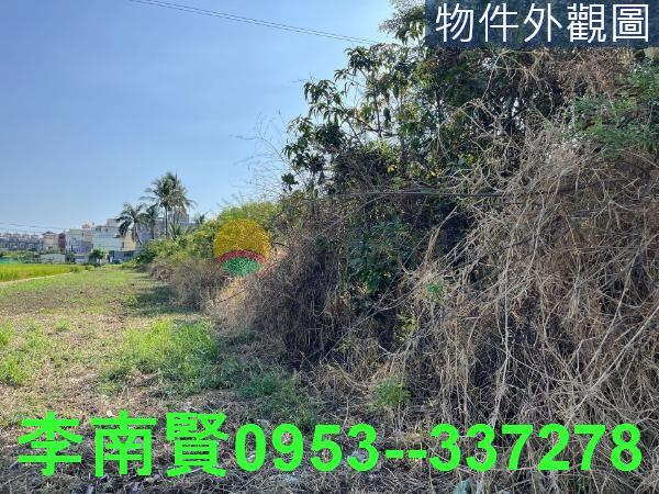 仁德農地-4