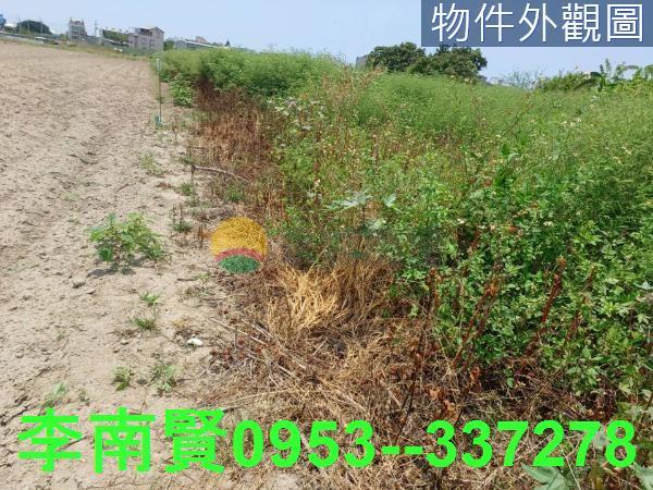 安南農地-0