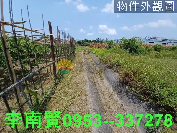 安南農地-3