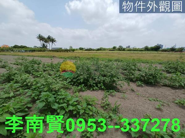 安南農地-4