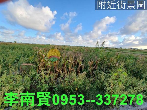 西港農地-2
