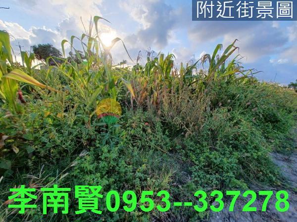 西港農地-3